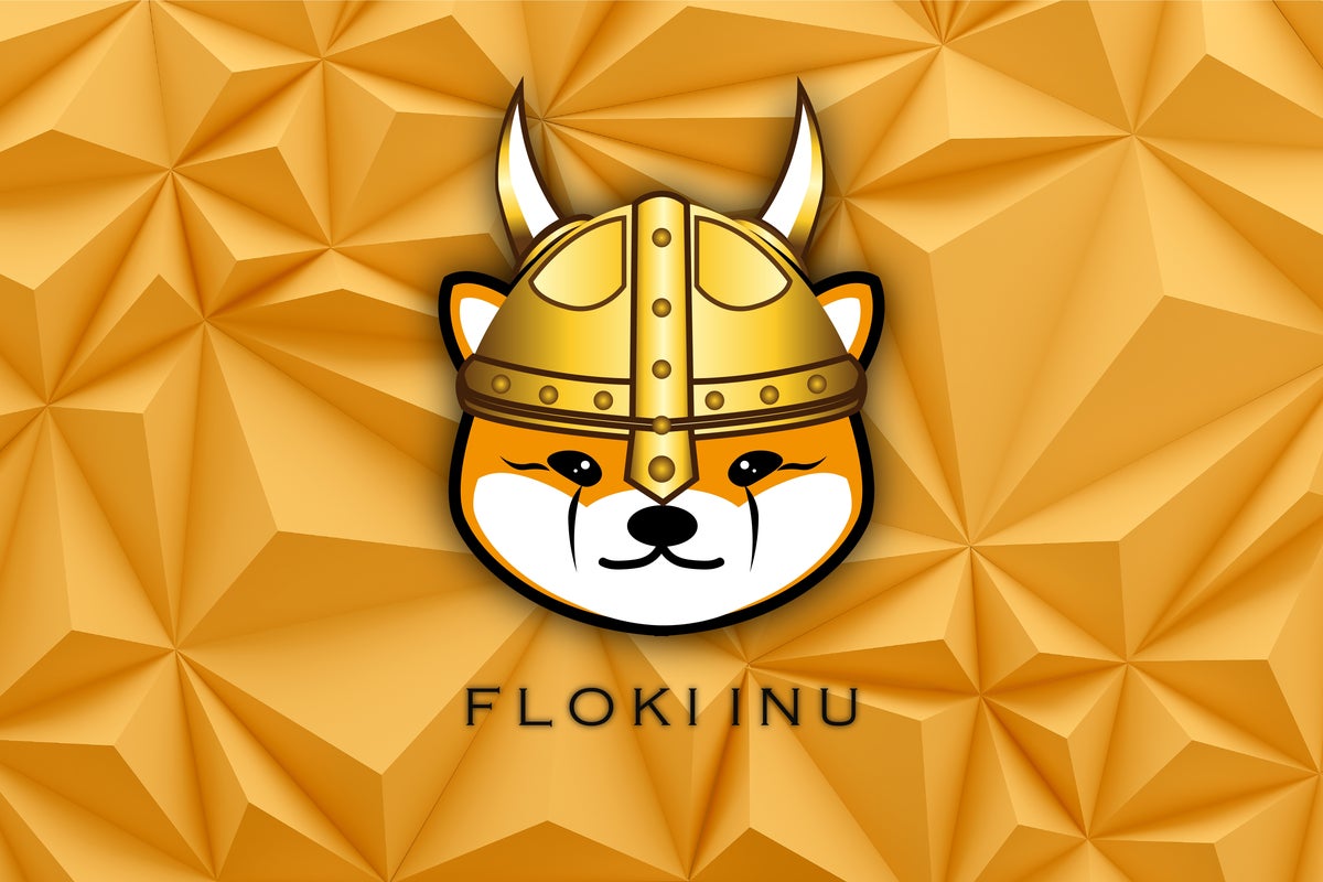 Elon Musk Sends Floki Inu (FLOKI) Up 30% After Tweet