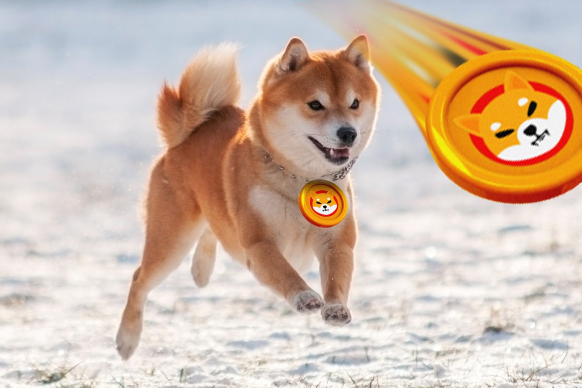 Shiba Inu Makes A Massive Move As The Crypto Climbs 28% In 24 Hours