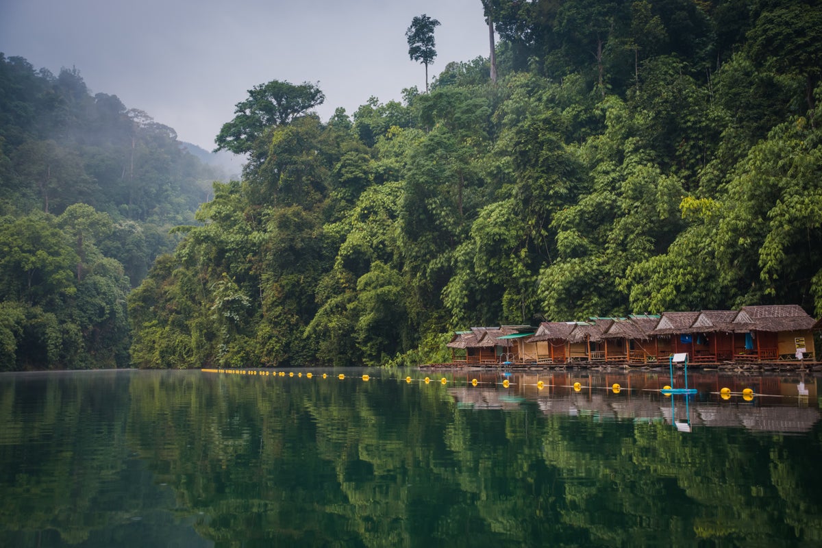 Thai Government Developing Psychedelic Medicine To Treat Various Mental Health Issues, Including Depression