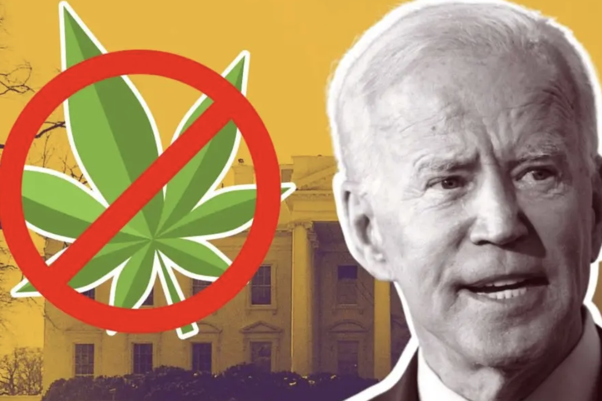 Why The Biden Administration Advises Applicants Not To Invest In Cannabis: 'Not Knowing Is Not An Excuse'