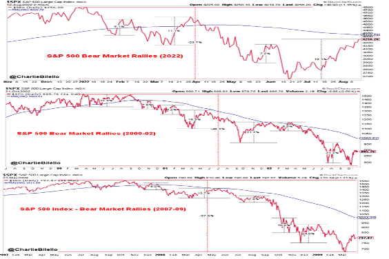 bear market is over, The Bear Market Is Over. Or, Is It Just Hibernating?