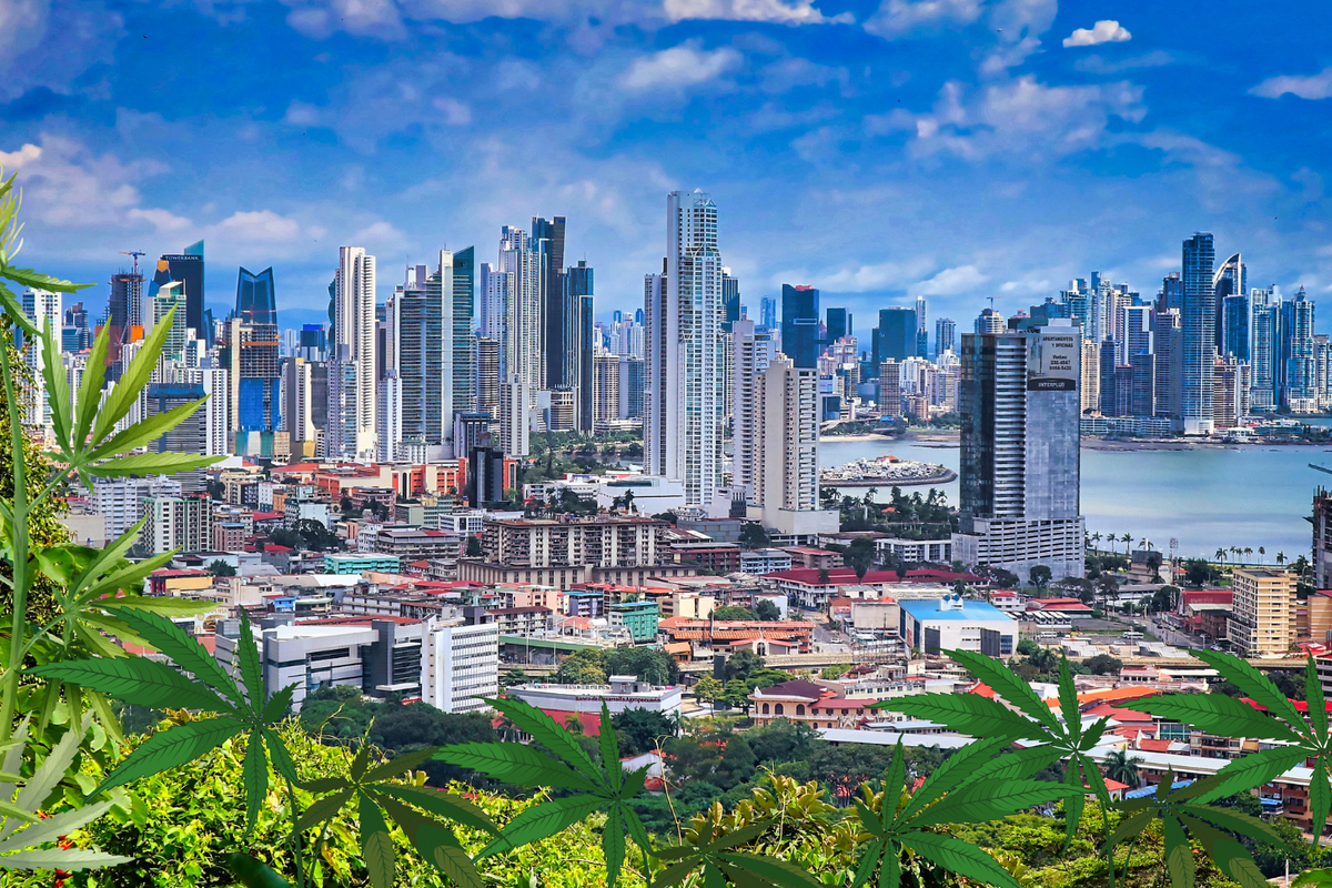 BREAKING: Panama Regulates The Medicinal Use Of Cannabis