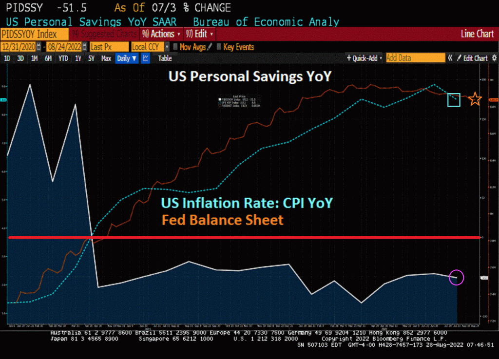 US Personal Savings Rate Is -51.5% YoY To Cope With Bidenflation Raging At 8.5% YoY – Investment Watch