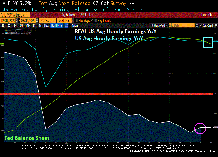 August Jobs Growth Slows To 315k Added, REAL Wage Growth Continues To Decline -3.3% YoY, Multiple Jobholders Increases (Fed Will Interpret At Green Light To Further Raise Interest Rates)