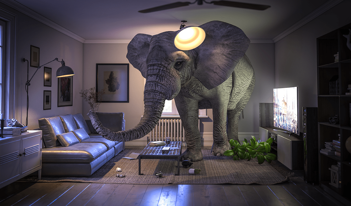 The Elephant in the Room: The ESG Contradiction