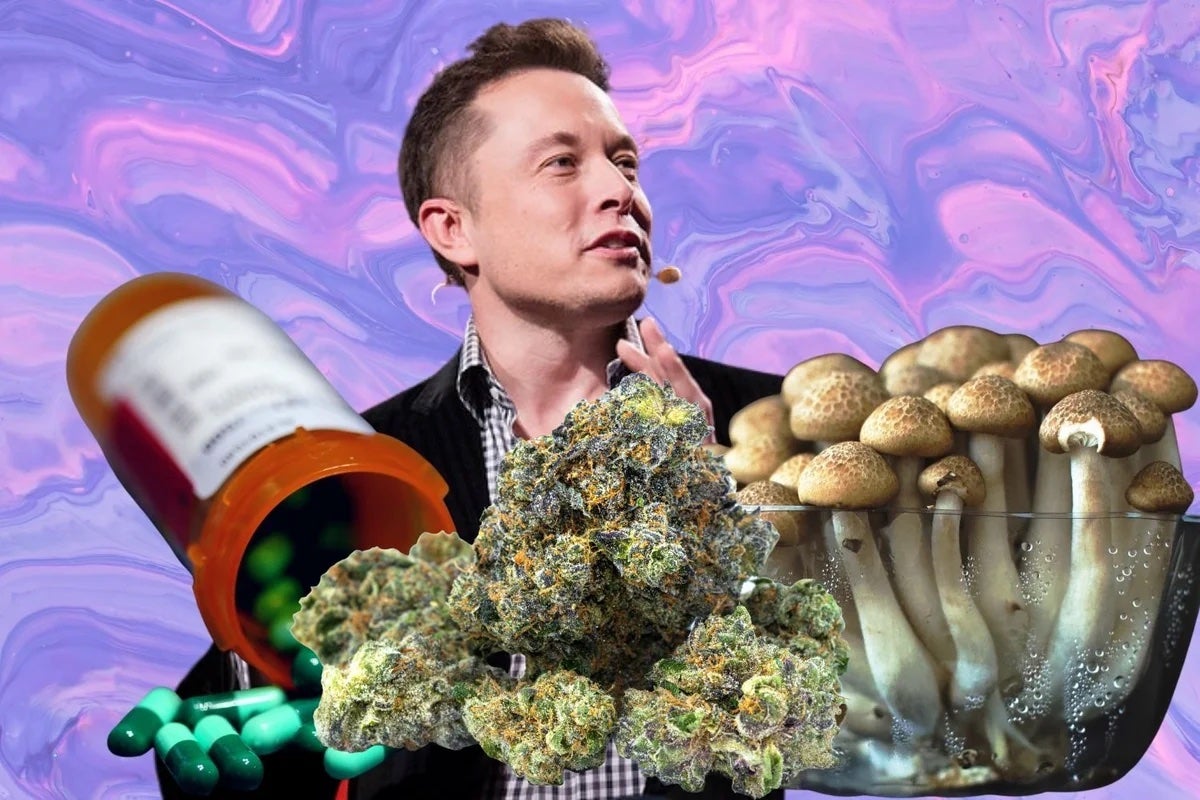 Elon Musk's 'Exploratory Journeys' And Charts Explaining Benefits Of Psychedelics Over Alcohol - Tesla (NASDAQ:TSLA)