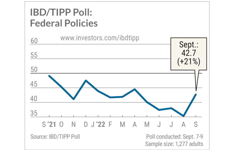 IBD Tipp Poll