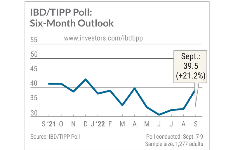 IBD Tipp Poll