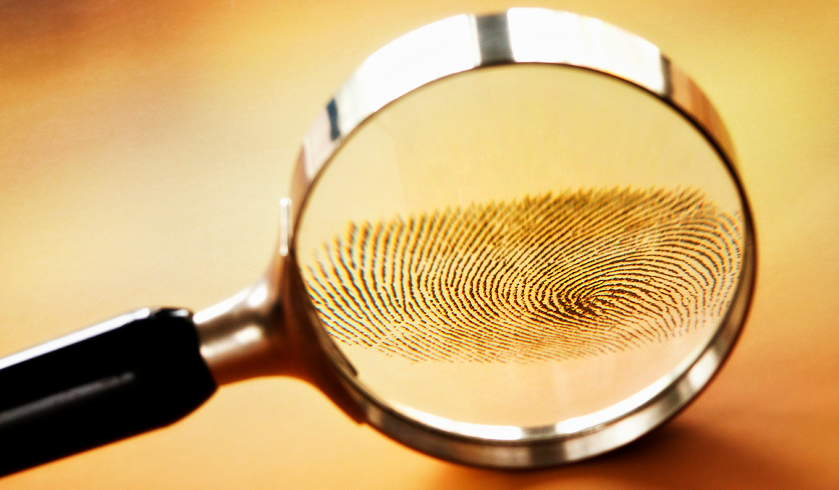 Fraud and Deception Detection: Five Language Fingerprints