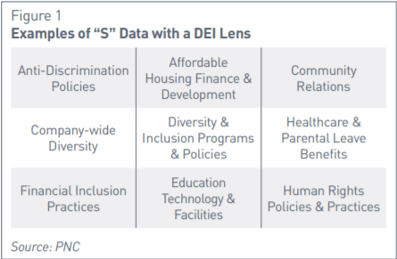 Chart of Examples of S Data with a DEI lens