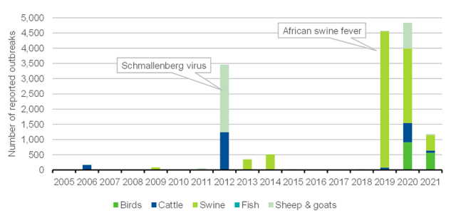 Bar chart of Reported Animal Pandemic Outbreaks by year