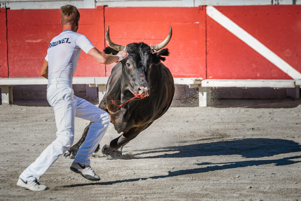 Bitcoin price outlook: Analyst identifies key level for bulls as BTC breaks above $20K