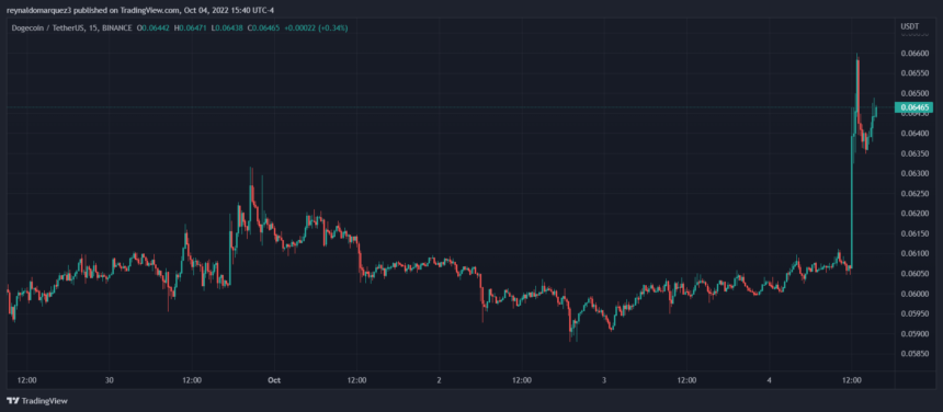 Dogecoin DOGE DOGEUSDT Elon Musk Chart 2