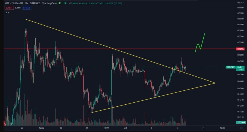 XRP price XRPUSDT