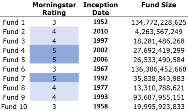 Chart profiling mutual funds by size, inception dates, and Morningstar ratings.