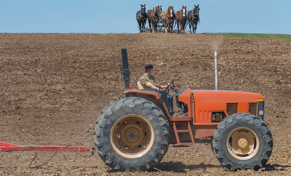 On Horses, Tractors, and Markets