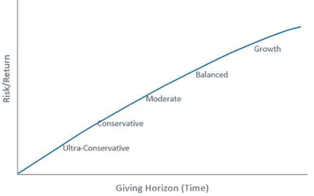 Chart depicting Donor Advised Funds: Asset Allocation Options