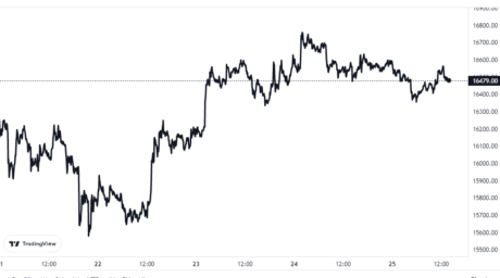 Bitcoin Price Chart