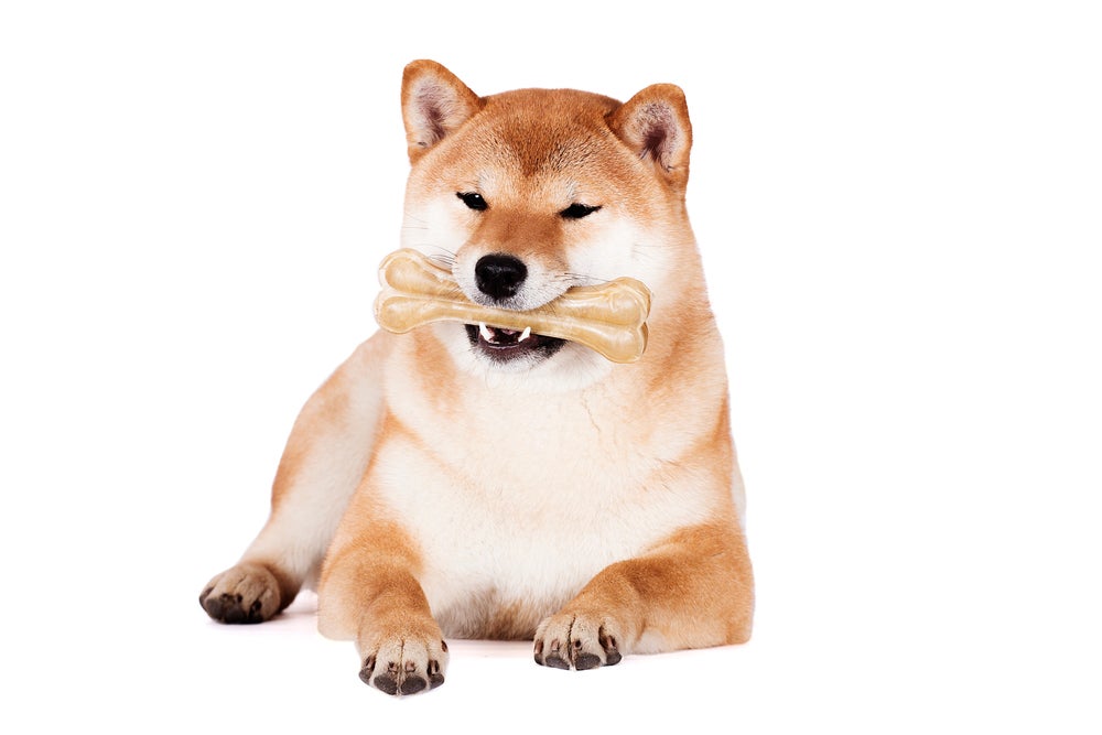 Shiba Inu Governance Token BONE Surges 22% In A Week After Multiple Exchange Listings - SHIBA INU (SHIB/USD)