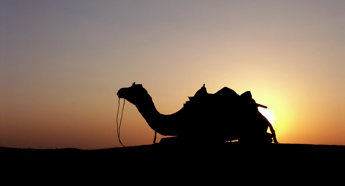 Research Spending Post-MiFID II: Is COVID-19 the Straw that Broke the Camel’s Back?