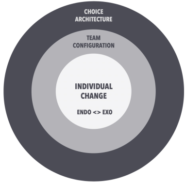 Graphic of Panthera Framework for directed change.