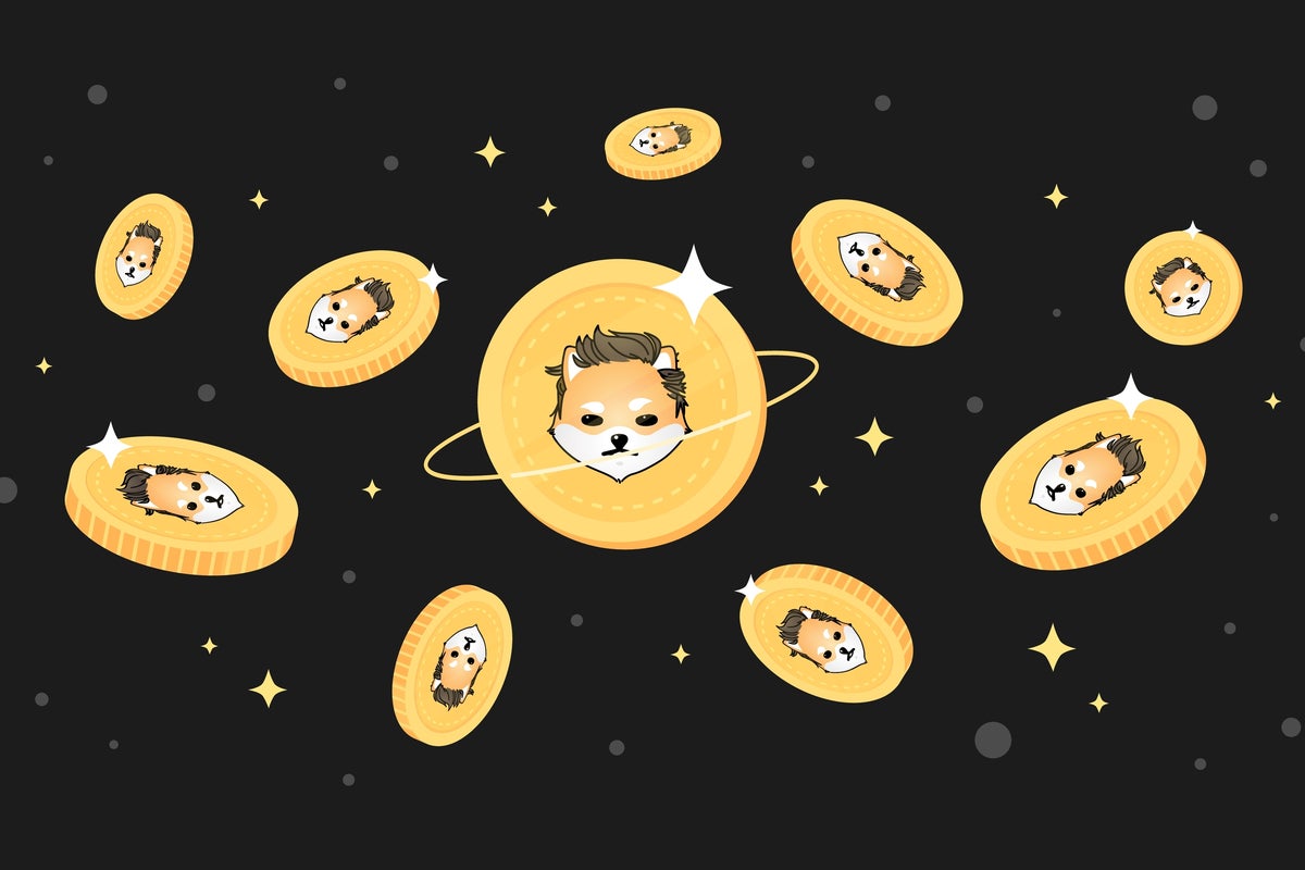 Dogelon Mars (ELON) Rallies 28%, Leaving Dogecoin, Shiba Inu In The Dust - SHIBA INU (SHIB/USD), Dogecoin (DOGE/USD)