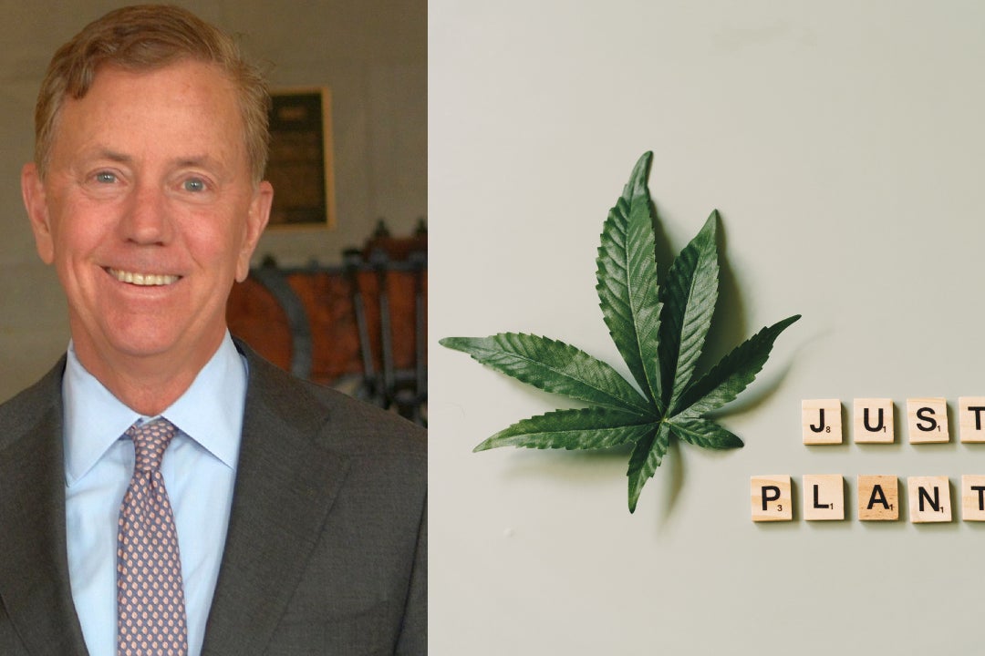 Connecticut Gov. Lamont To Erase 44,000 Low-Level Cannabis Possession Convictions