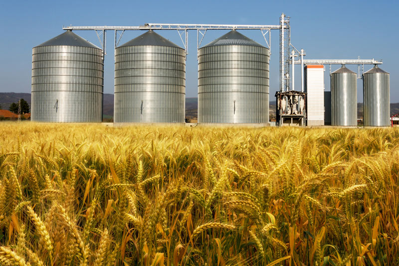 Ukraine grain deal unlikely to include new ports in near term