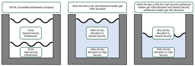 Water Entitlements and Allocations within a Hypothetical Reservoir