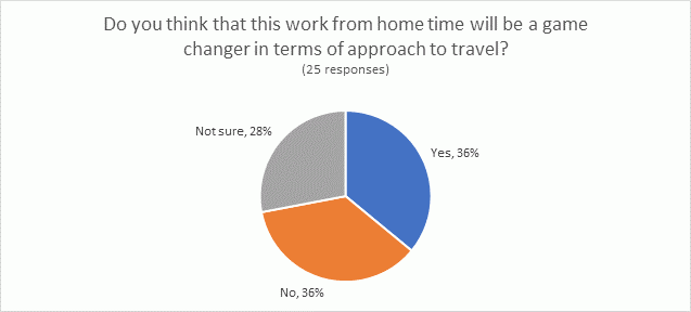 Pie graph showing answers to the question: Doy you think that this work from home time will a game change in terms of approach to traveL?