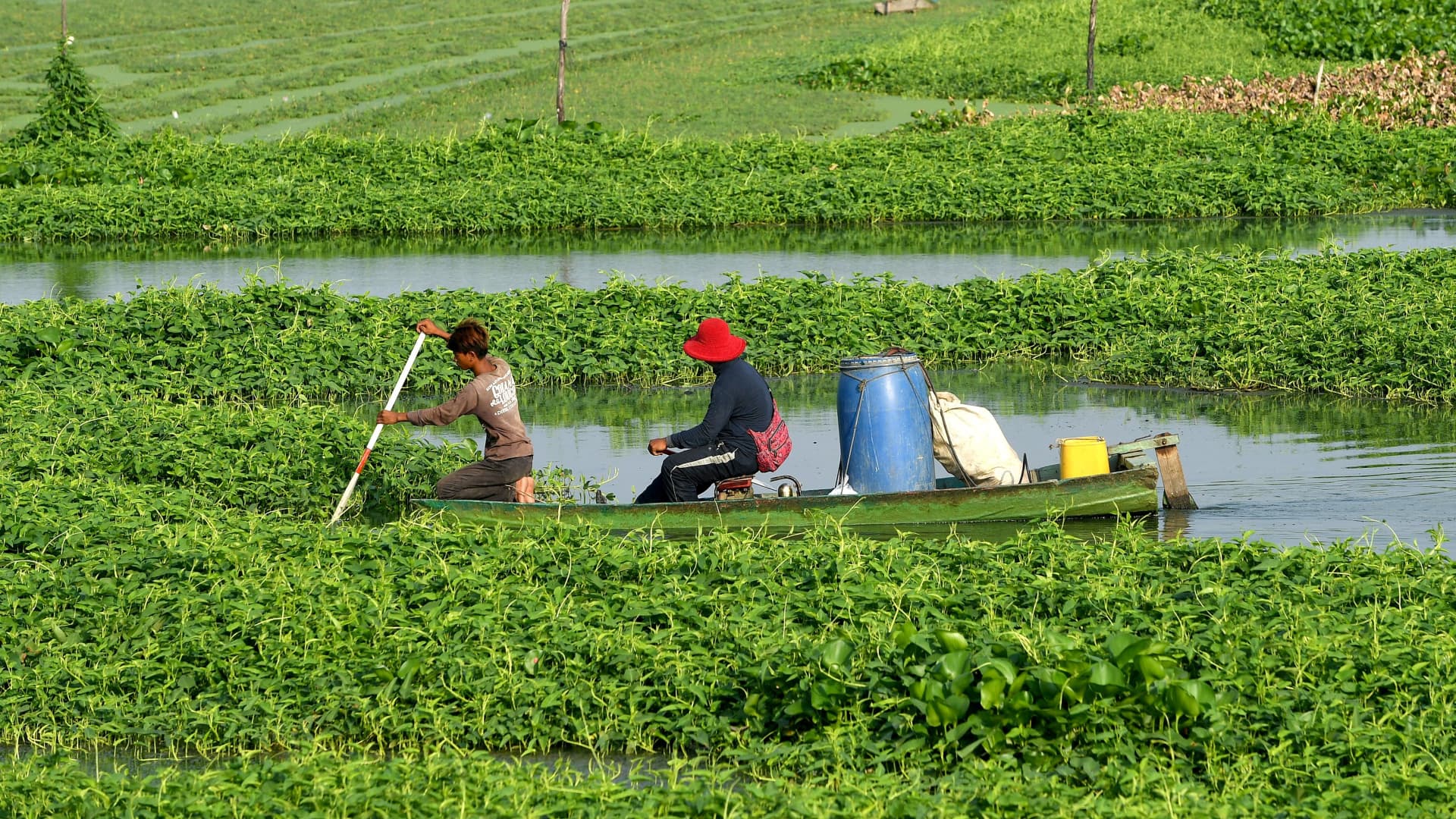 Facing climate change, Asia farmers turn to risky microfinance loans