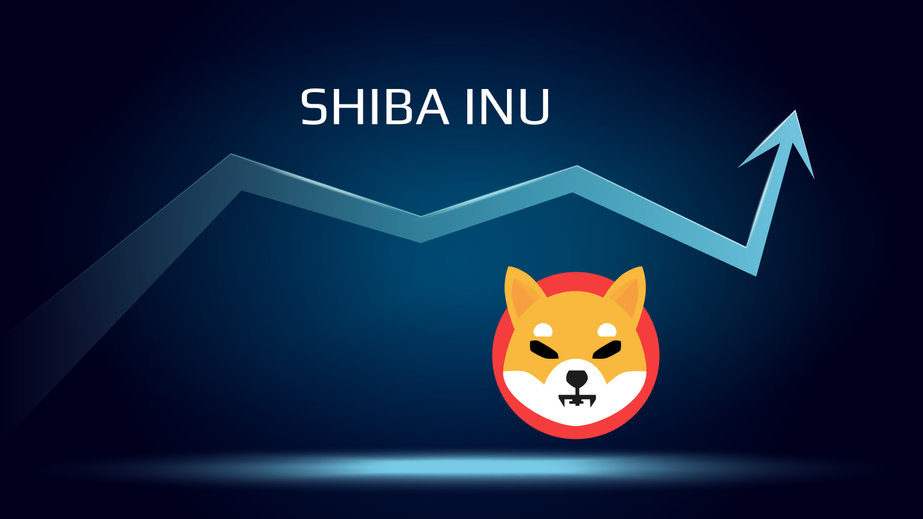 SHIB price movement after project reached over 3 million addresses