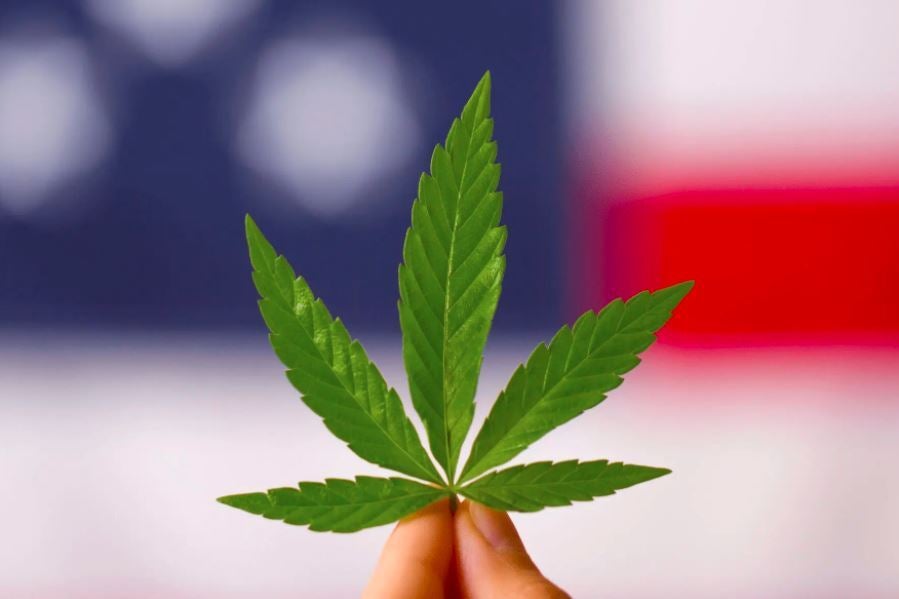 Cannabis Commerce Bill In WA, VA Hemp, Social Equity In Missouri, Texas Licenses & More