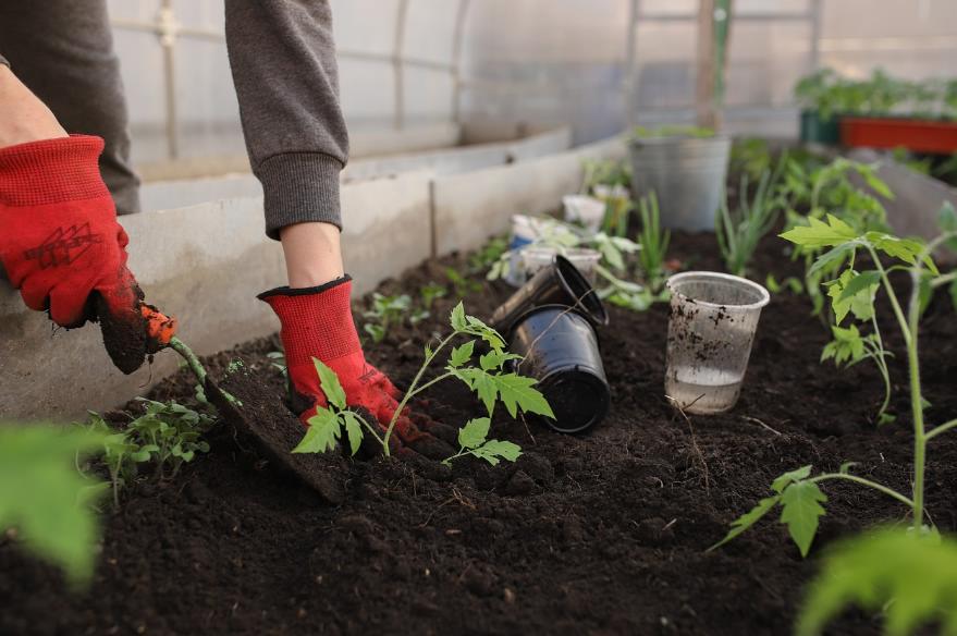 They Want To Turn Us Into “Beautiful, Rich, Dark Chocolaty-Looking Soil” When We Die For The Good Of The Environment – Investment Watch